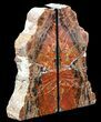 Tall, Colorful, Arizona Petrified Wood Bookends #56035-1